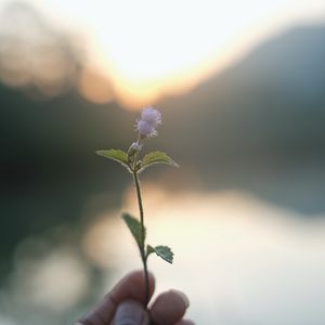 Her şeyi kendimize biz çekiyoruz!