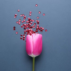 İskoçya’da devlet hijyenik pedleri ücretsiz dağıtmaya başladı