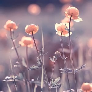"İnsan en çok kendine yasakladığı duygularla savaşır"