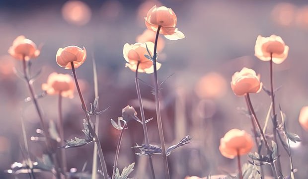 Bilge Uzun: "İnsan en çok kendine yasakladığı duygularla savaşır"