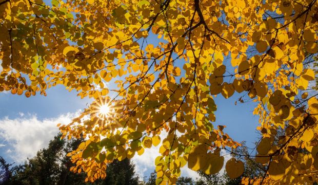 Durumsal depresyonun 5 işareti