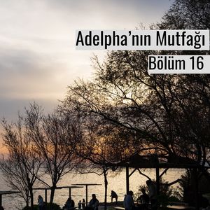 Faliro’da ilk günler