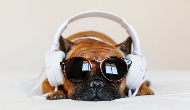 Algı farklılıkları neden olur?