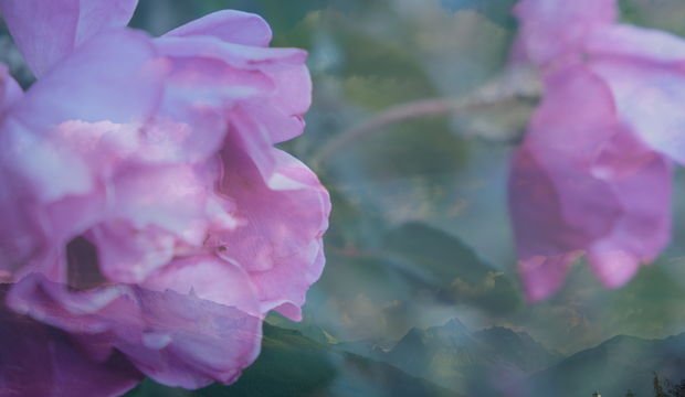 Gizli haller bölüm 9: Dağına göre kar