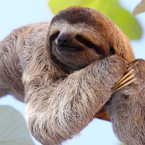 Durur muyum? Duramadım!