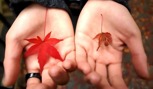 Siz hiç ölümü..?