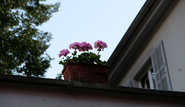 Gizli haller bölüm 11: Şans kapıyı çalınca