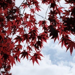 Gizli haller bölüm 13: Bekledim de gitmedim