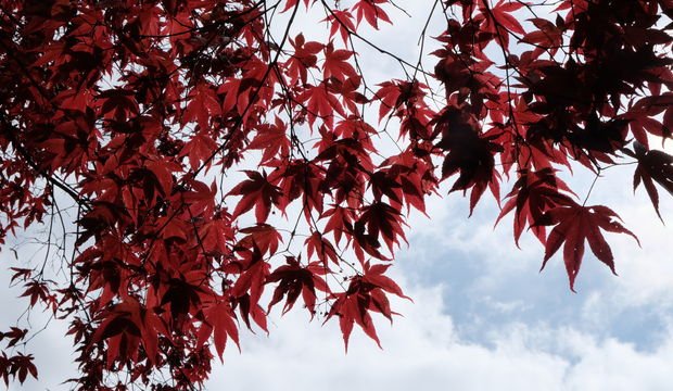 Gizli haller bölüm 13: Bekledim de gitmedim