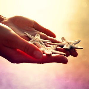 The Whispers of the End