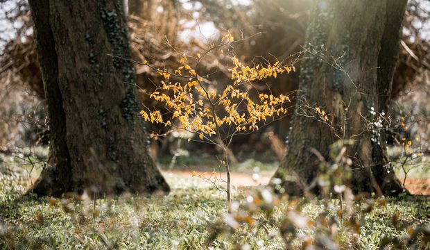 What is a death doula?