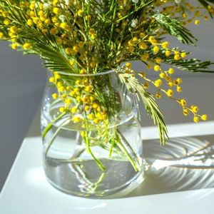 Evin enerjisini böyle yenileyin!