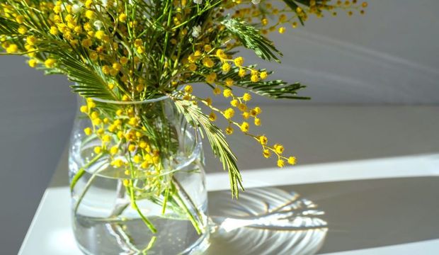 Evin enerjisi nasıl yükseltilir?