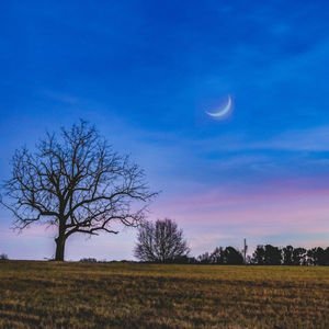 Boğa burcunda Yeniay