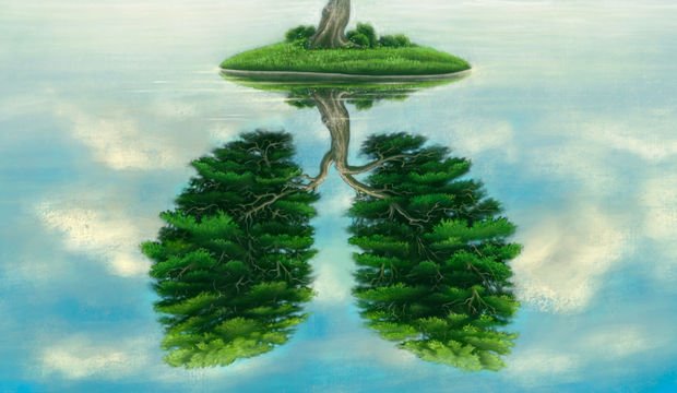 Akciğer detoksu nasıl yapılır?