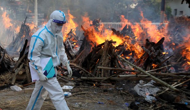 Hindistan'da korkutan 'kara mantar' salgını