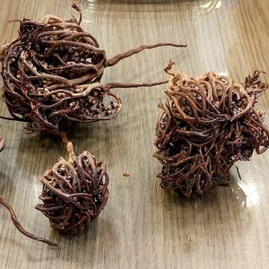 Doğum başladığında: Meryem ana otu