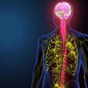 Sempatik sinir sistemi vücudumuzu nasıl etkiler?