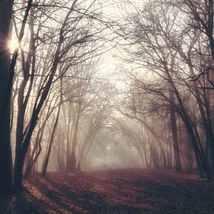 Gizli Haller bölüm 18: Kalan sızılar