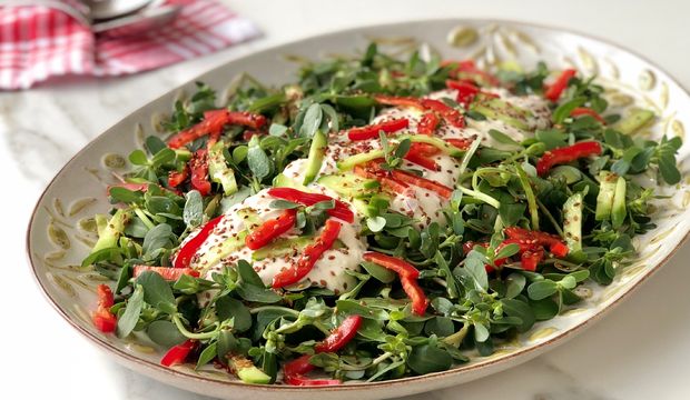 Tahinli yoğurtlu semizotu salatası