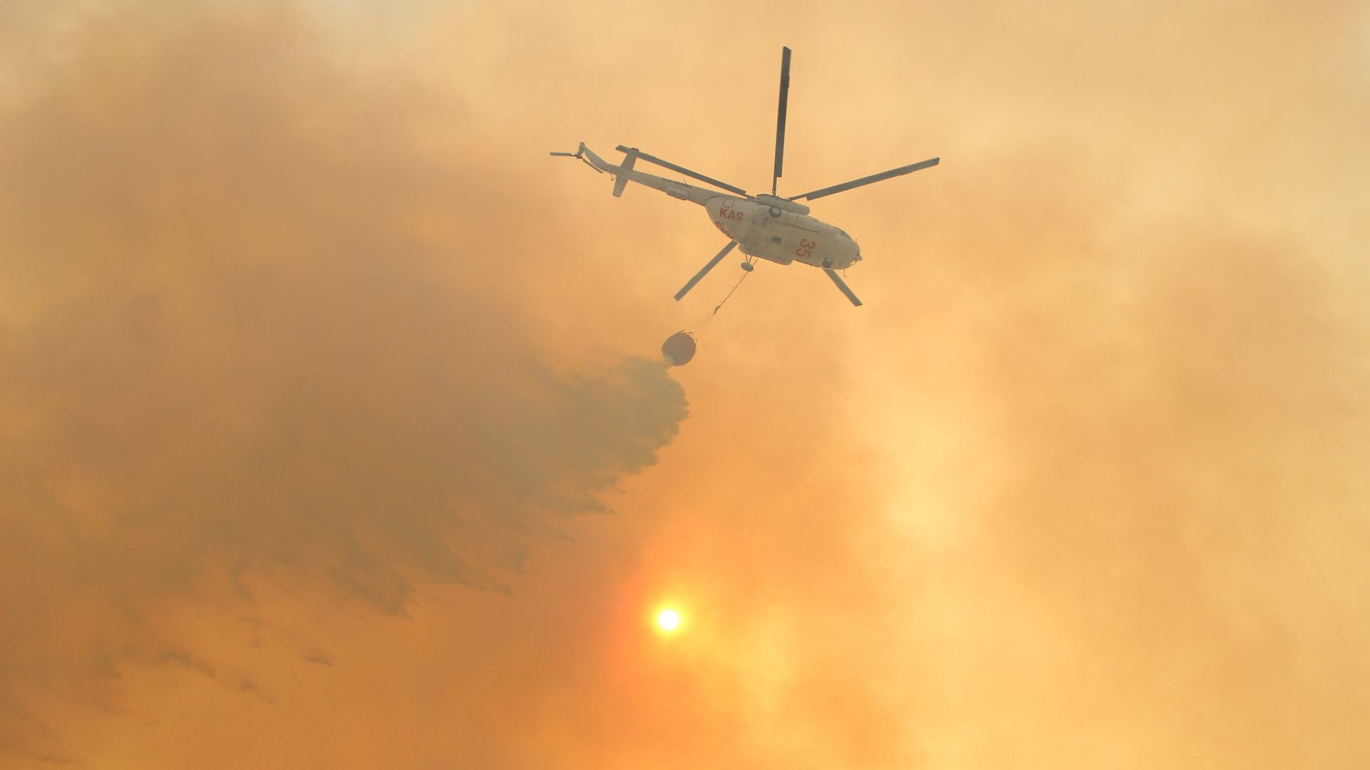 Global call ne demek? Yaşam