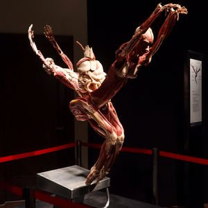 Yaşam kası stresi nasıl azaltır?