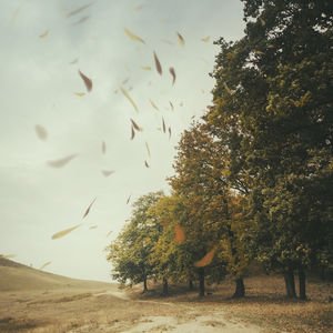 Accompanied by Laments