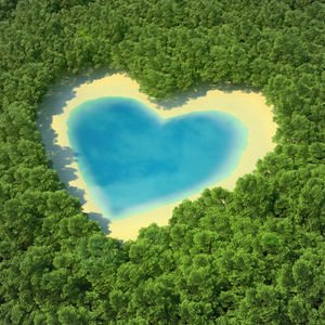 İklim değişikliği eko-anksiyete sebebi