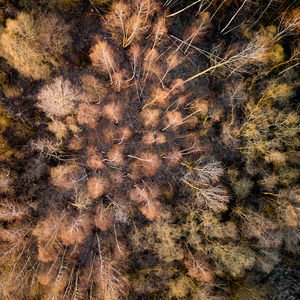 Since we have lost our eyes