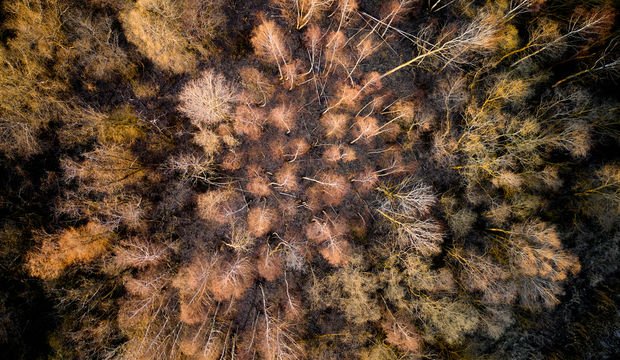 Since we have lost our eyes