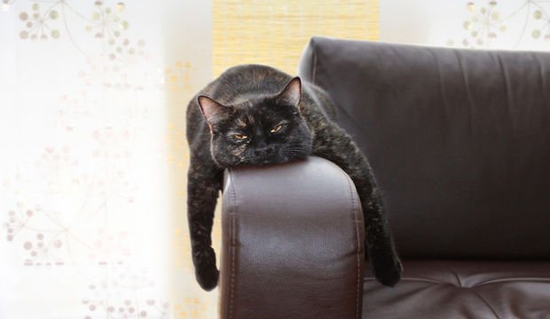 Eğlenmek için ne yapılabilir? Eğlenmeyi unutanlara tavsiyeler…