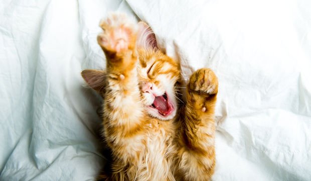 Işık açık uyumanın zararları