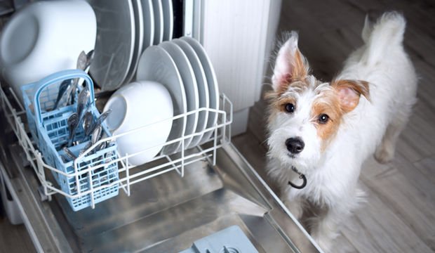 Bulaşıkları makineye koymadan önce elde yıkamak doğru mu?