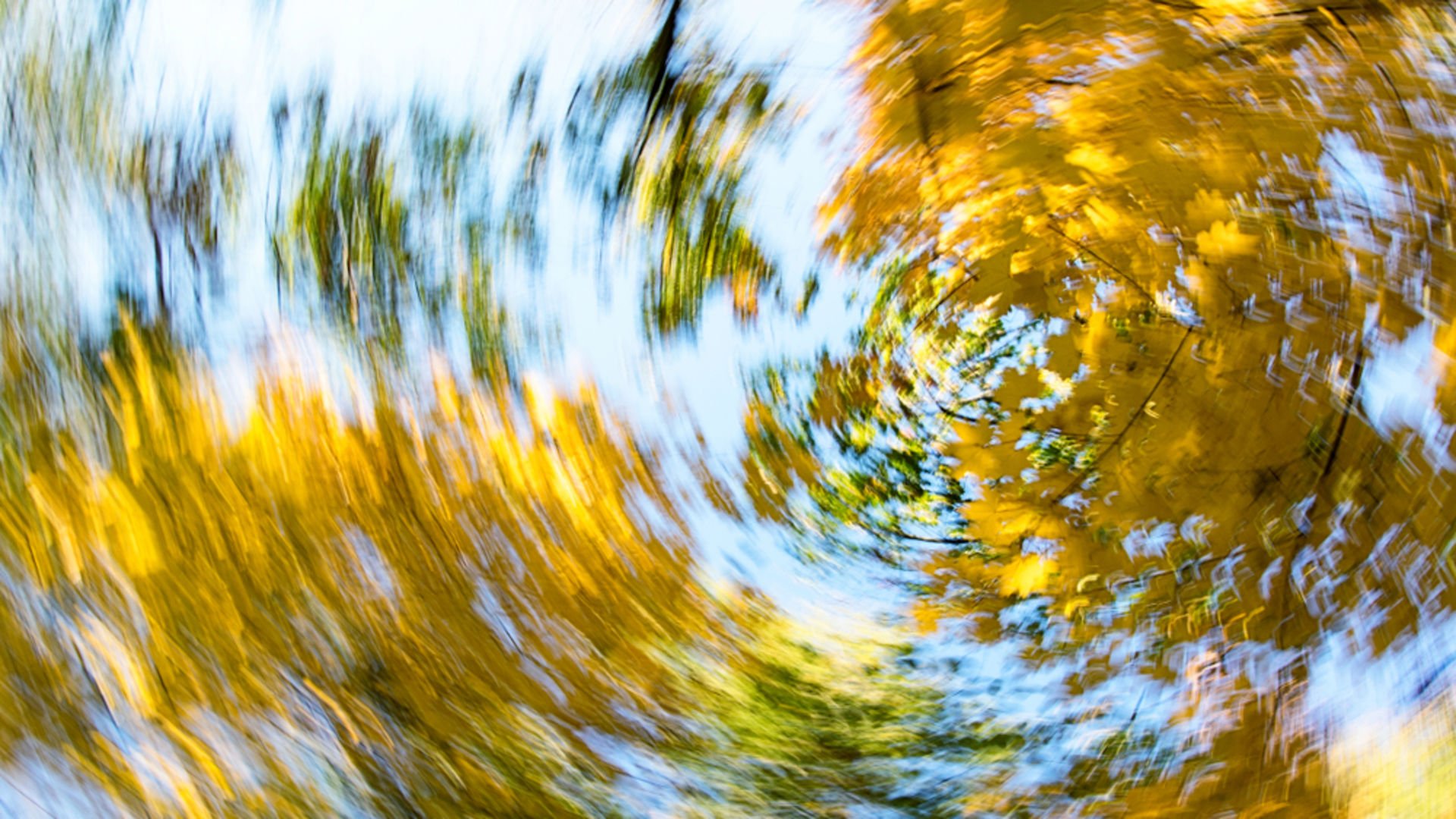 осень листопад. осень в круге. листва вихрь. вихрь из листьев. осень ветер.