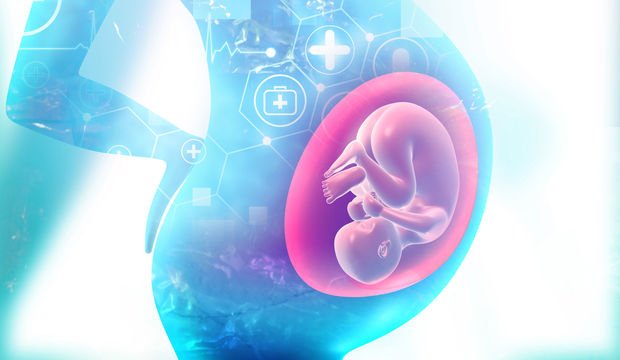 Fetal hücreler gebelikten sonra da annede kalıyor