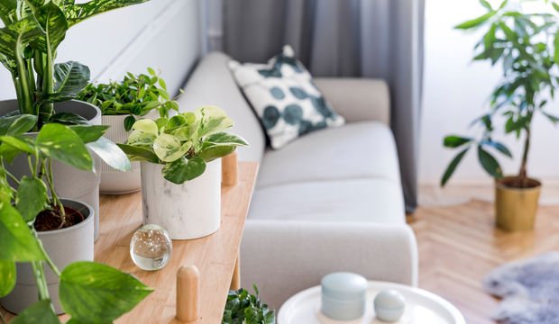 Evi düzenlemenin püf noktaları