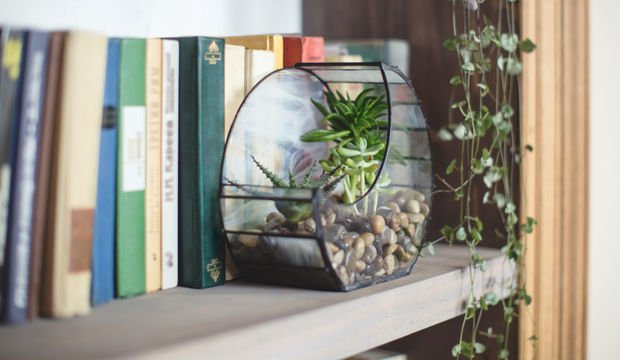 Evinizin havasını değiştirecek Feng Shui önerileri