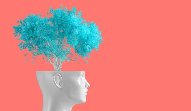 Zihin Haritası öğrenmeyi nasıl kolaylaştırıyor?