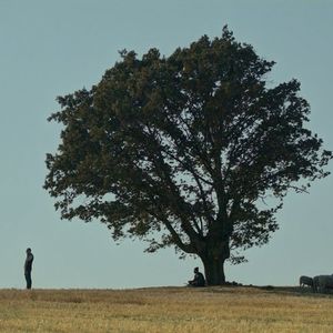 Türkiye'nin Oscar adayı: Bağlılık Hasan