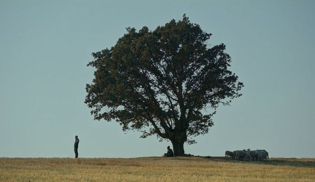 Türkiye'nin Oscar adayı: Bağlılık Hasan
