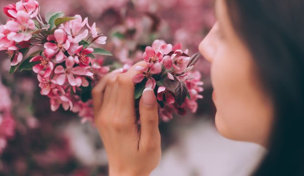 Koku hafızanızın sırrı açığa çıkıyor…