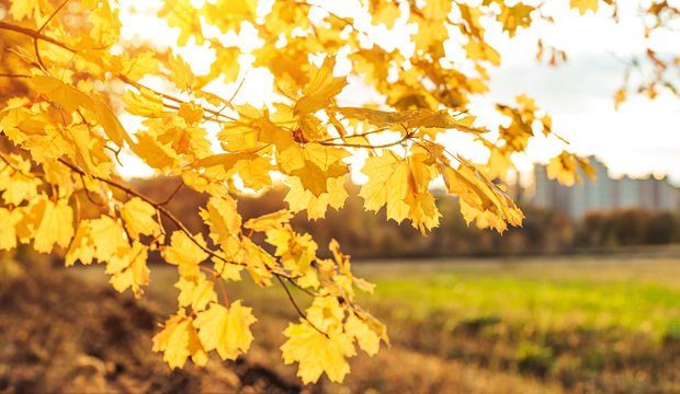 Sağlıklı bir sabah rutini için 11 adım