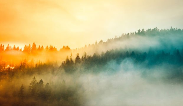 Belirsizlikle nasıl başa çıkılır?