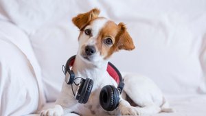 Şarkı önerisi arıyorsanız saate bakın!