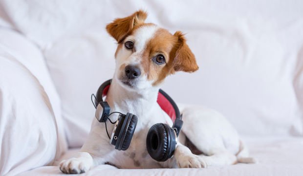 Günün her saati dinlenebilecek şarkı