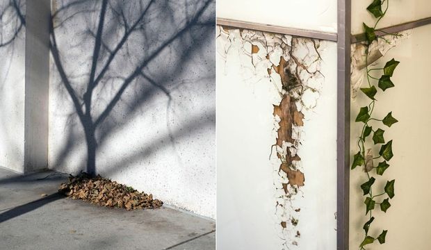 40 eğlenceli tesadüf