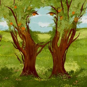  Resimde ilk ne gördünüz?