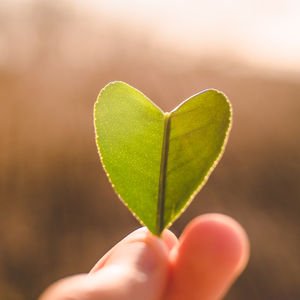 Kalpten kalbe bir sohbet... "Beni Büyüten Kadınlar"