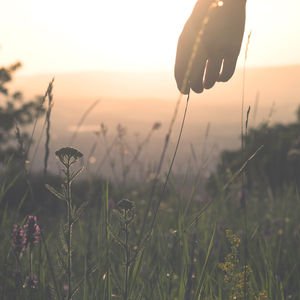 Yeni yıl kararlarınız ne kadar gerçekçi?