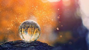 Başka bir insan size acı verdiği zaman...